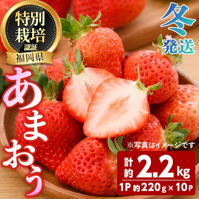 ＜先行予約受付中！2026年12月～2027年2月発送予定＞ うるう農園の あまおう 2Lサイズ (計約2.2kg・約220g×10P) 苺 いちご イチゴ 果物 フルーツ 国産 福岡県 ヨーグルト ジャム スムージー 冷蔵 冬発送 特別栽培 ＜離島配送不可＞【ksg1963】【うるう農園】