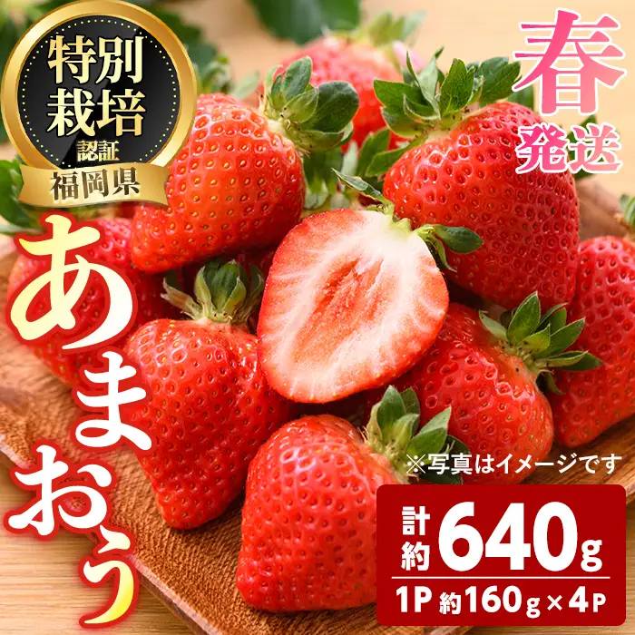 ＜先行予約受付中！2027年3月～4月発送予定＞ うるう農園の あまおう MLサイズ (計約640g・約160g×4P) 苺 いちご イチゴ 果物 フルーツ 国産 福岡県 ヨーグルト ジャム スムージー 冷蔵 春発送 特別栽培 ＜離島配送不可＞【ksg1964】【うるう農園】