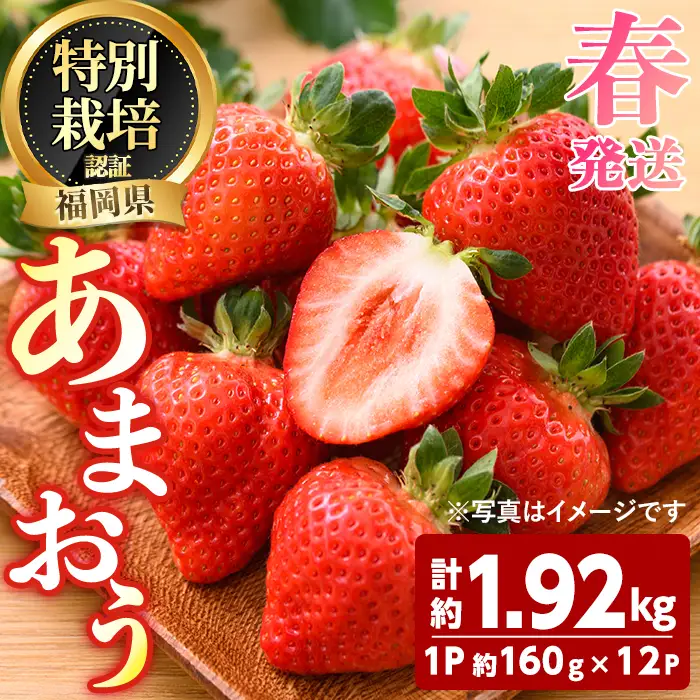 ＜先行予約受付中！2027年3月～4月発送予定＞ うるう農園の あまおう MLサイズ (計約1.92kg・約160g×12P) 苺 いちご イチゴ 果物 フルーツ 国産 福岡県 ヨーグルト ジャム スムージー 冷蔵 春発送 特別栽培 ＜離島配送不可＞【ksg1966】【うるう農園】