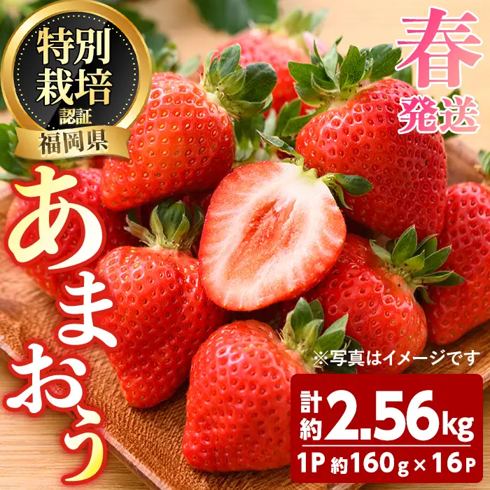 ＜先行予約受付中！2027年3月～4月発送予定＞ うるう農園の あまおう MLサイズ (計約2.56kg・約160g×16P) 苺 いちご イチゴ 果物 フルーツ 国産 福岡県 ヨーグルト ジャム スムージー 冷蔵 春発送 特別栽培 ＜離島配送不可＞【ksg1967】【うるう農園】