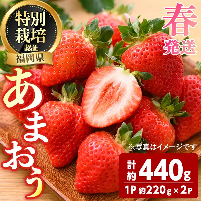 ＜先行予約受付中！2027年3月～4月発送予定＞ うるう農園の あまおう 2Lサイズ (計約440g・約220g×2P) 苺 いちご イチゴ 果物 フルーツ 国産 福岡県 ヨーグルト ジャム スムージー 冷蔵 春発送 特別栽培 ＜離島配送不可＞【ksg1969】【うるう農園】
