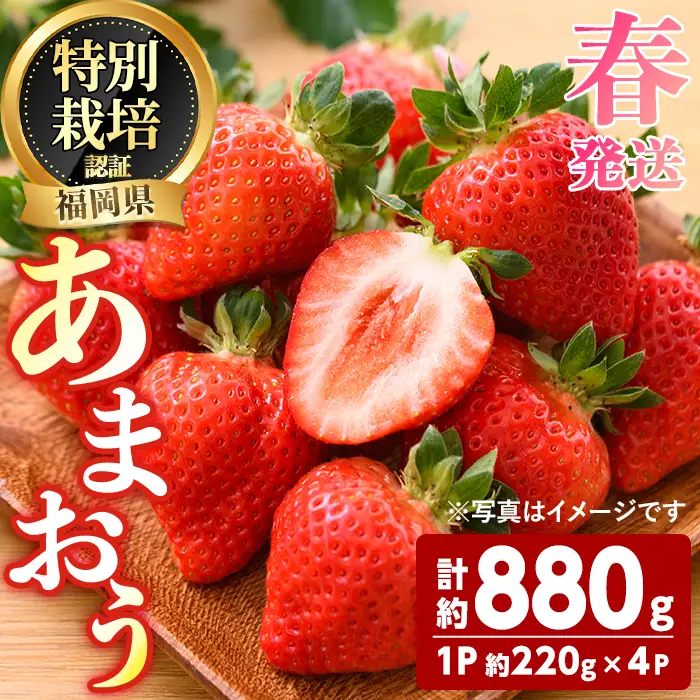 ＜先行予約受付中！2027年3月～4月発送予定＞ うるう農園の あまおう 2Lサイズ (計約880g・約220g×4P) 苺 いちご イチゴ 果物 フルーツ 国産 福岡県 ヨーグルト ジャム スムージー 冷蔵 春発送 特別栽培 ＜離島配送不可＞【ksg1970】【うるう農園】