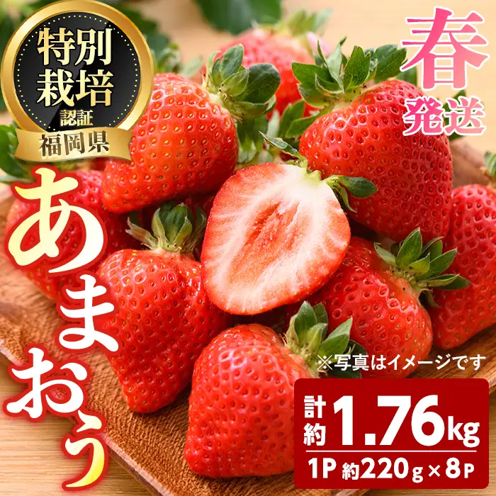 ＜先行予約受付中！2027年3月～4月発送予定＞ うるう農園の あまおう 2Lサイズ (計約1.76kg・約220g×8P) 苺 いちご イチゴ 果物 フルーツ 国産 福岡県 ヨーグルト ジャム スムージー 冷蔵 春発送 特別栽培 ＜離島配送不可＞【ksg1972】【うるう農園】
