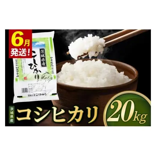 【2027年6月発送】米 コシヒカリ 精米 20kg 令和8年産 茨城県産 お米 こめ コメ ごはん 白米 こしひかり 茨城県産米 単一米 単一原料米 安心 安全 送料無料 国産 人気 数量限定 （85-R8i097_06）