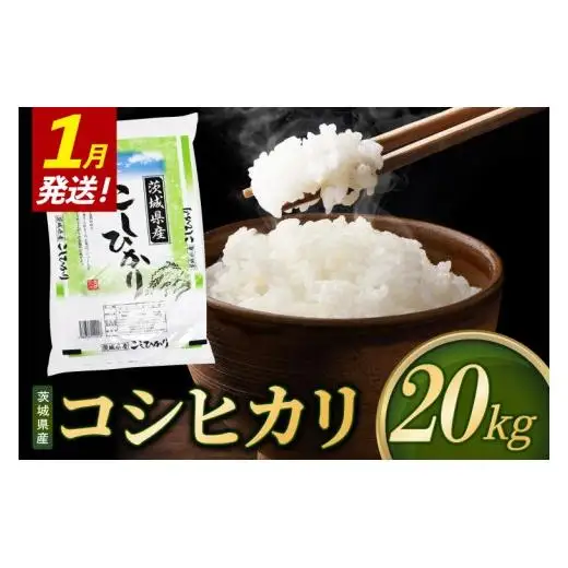 【2027年1月発送】米 コシヒカリ 精米 20kg 令和8年産 茨城県産 お米 こめ コメ ごはん 白米 こしひかり 茨城県産米 単一米 単一原料米 安心 安全 送料無料 国産 人気 数量限定 （85-R8i097_01）