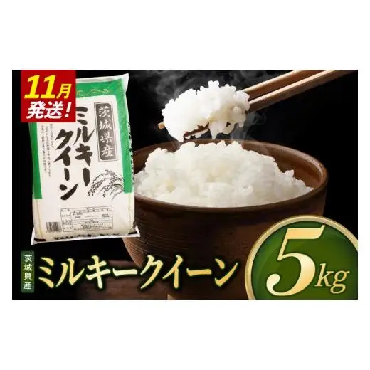 米 ミルキークイーン 精米 5kg 令和8年産 茨城県産 お米 こめ コメ ごはん 白米 みるきーくいーん 茨城県産米 単一米 単一原料米 送料無料 国産 数量限定（85-R8i253_11）