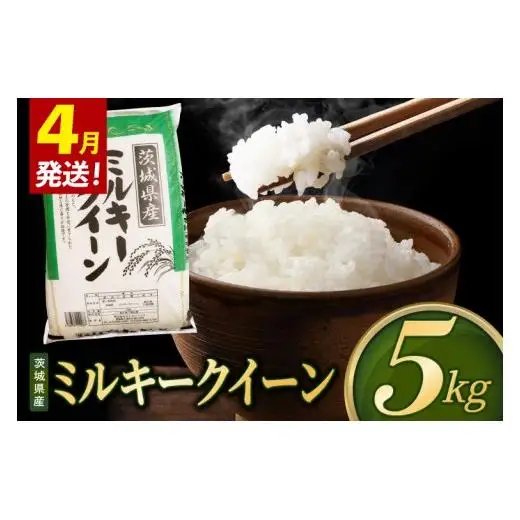 米 ミルキークイーン 精米 5kg 令和8年産 茨城県産 お米 こめ コメ ごはん 白米 みるきーくいーん 茨城県産米 単一米 単一原料米 送料無料 国産 数量限定（85-R8i253_04）