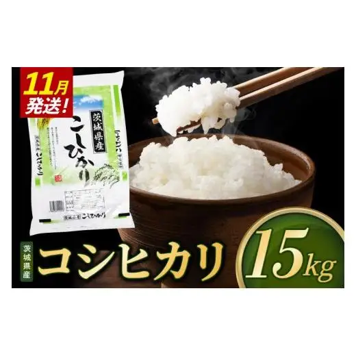 【2026年11月発送】米 コシヒカリ 精米 15kg 令和8年産 茨城県産 お米 こめ コメ ごはん 白米 こしひかり 茨城県産米 単一米 単一原料米 安心 安全 送料無料 国産 人気 数量限定 （85-R8i073_11）