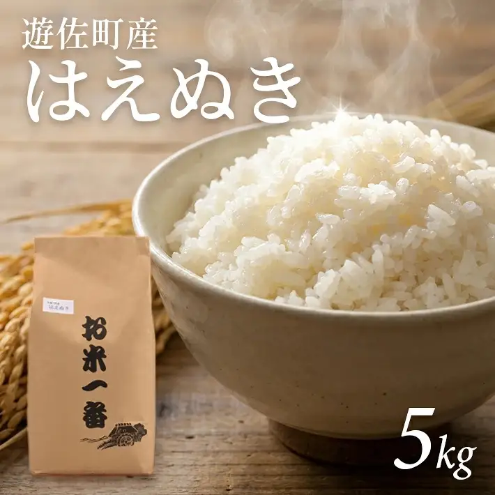 (令和8年12月中旬お届け)はえぬき 5kg 令和8年産米 山形県遊佐町産 ご希望時期頃お届け 東北 山形県 遊佐町 庄内地方 米 お米 精米 白米 庄内米 ブランド米 ご飯 ごはん[1734R08M12b] 