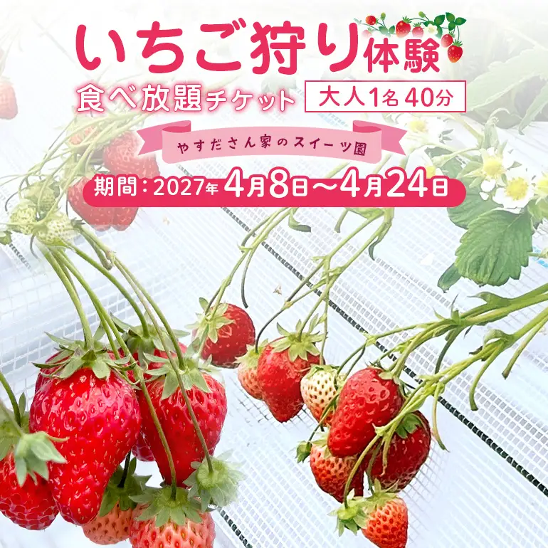 やすださん家のスイーツ園 いちご食べ放題1名40分食べ放題チケット 19-AM