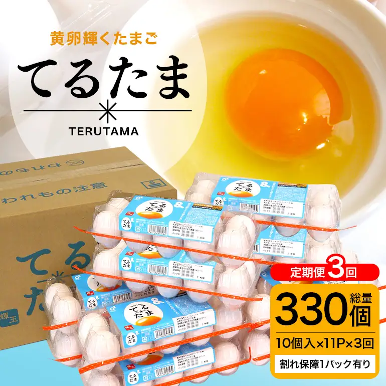 3か月定期 てるたま 10個入×11パック（割れ保障1パックサービス）てるたま 新鮮 鶏卵 玉子 卵かけご飯 卵かけごはん たまごかけご飯 卵焼き たまご焼き 玉子焼き 目玉焼き ゆで卵 栄養 22-K