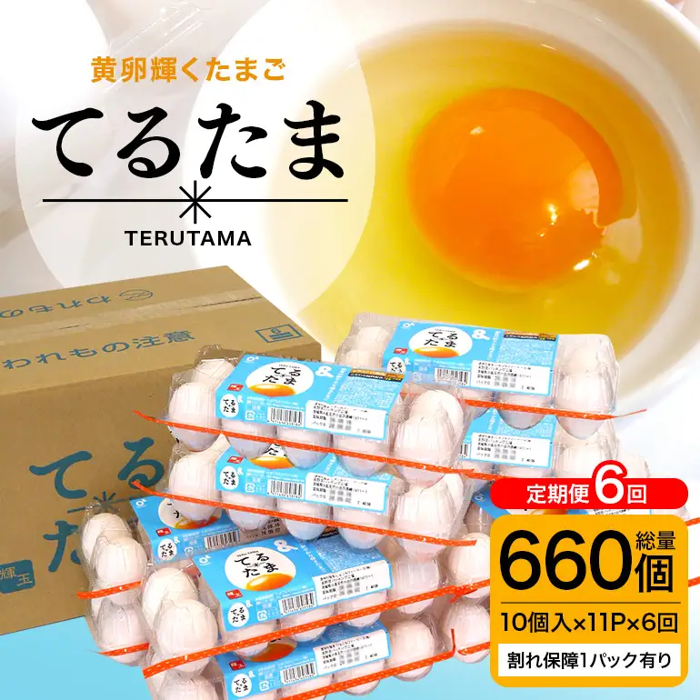 6か月定期 てるたま 10個入×11パック（割れ保障1パックサービス）てるたま 新鮮 鶏卵 玉子 卵かけご飯 卵かけごはん たまごかけご飯 卵焼き たまご焼き 玉子焼き 目玉焼き ゆで卵 栄養 22-L