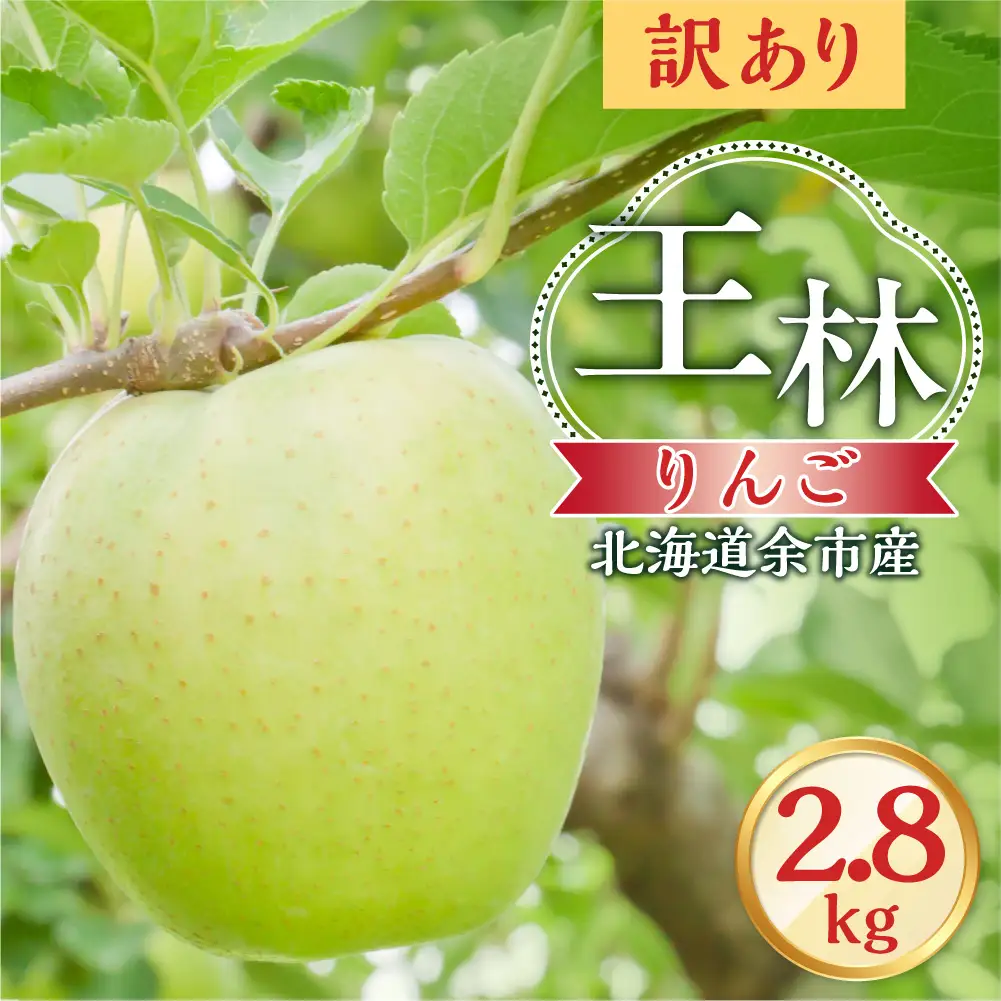 【先行予約：2026年10月下旬より発送】訳アリ りんご（王林）2.8kg【北海道余市町産】_Y103-0078
