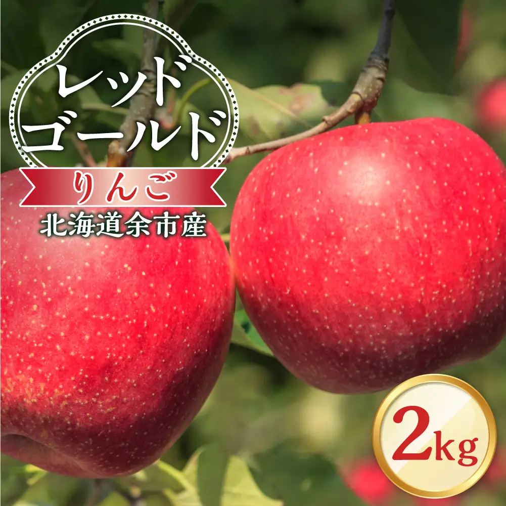 【先行予約：2026年10月中旬より発送】りんご（レッドゴールド）2kg【北海道余市町産】_Y103-0088
