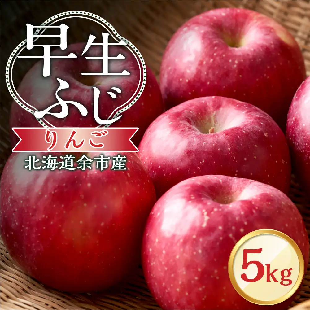 【先行予約：2026年10月中旬より発送】りんご（早生ふじ）5kg【北海道余市町産】_Y103-0093