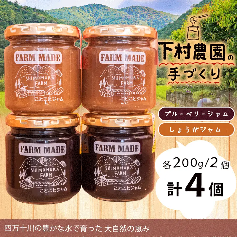 ブルーベリー ジャム しょうが ジャム 200g 4個 【 ジャム 】