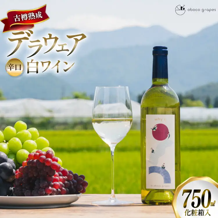 ワイン 白 why'n デラウェア 2025 750mL 1本