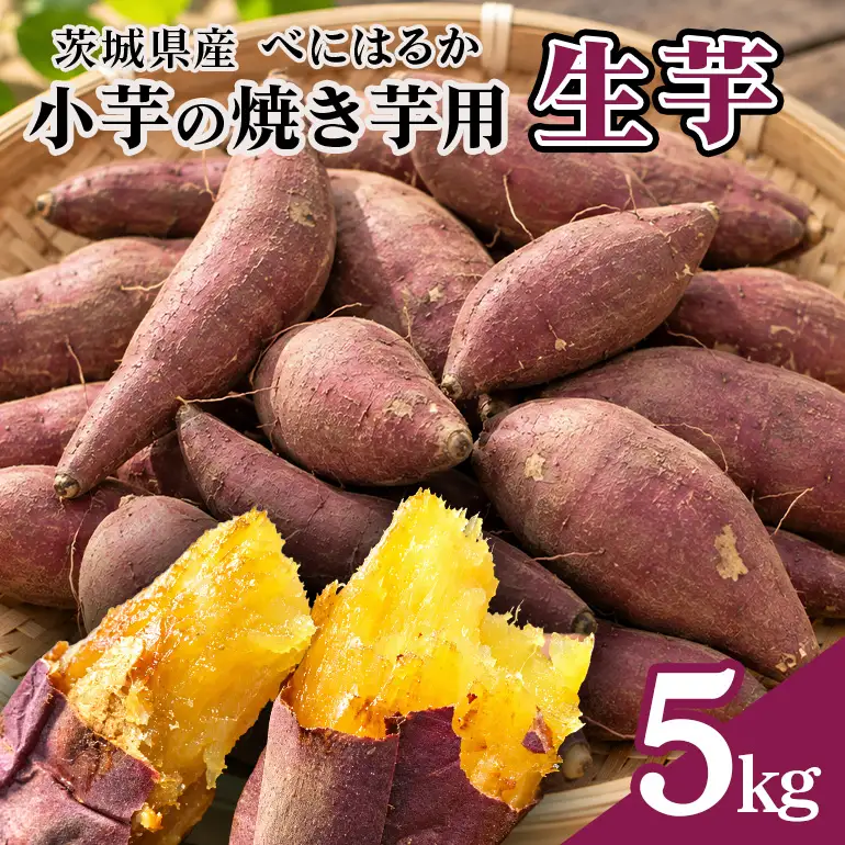 茨城県産小芋の焼き芋用生芋「べにはるか」5kg A26-012