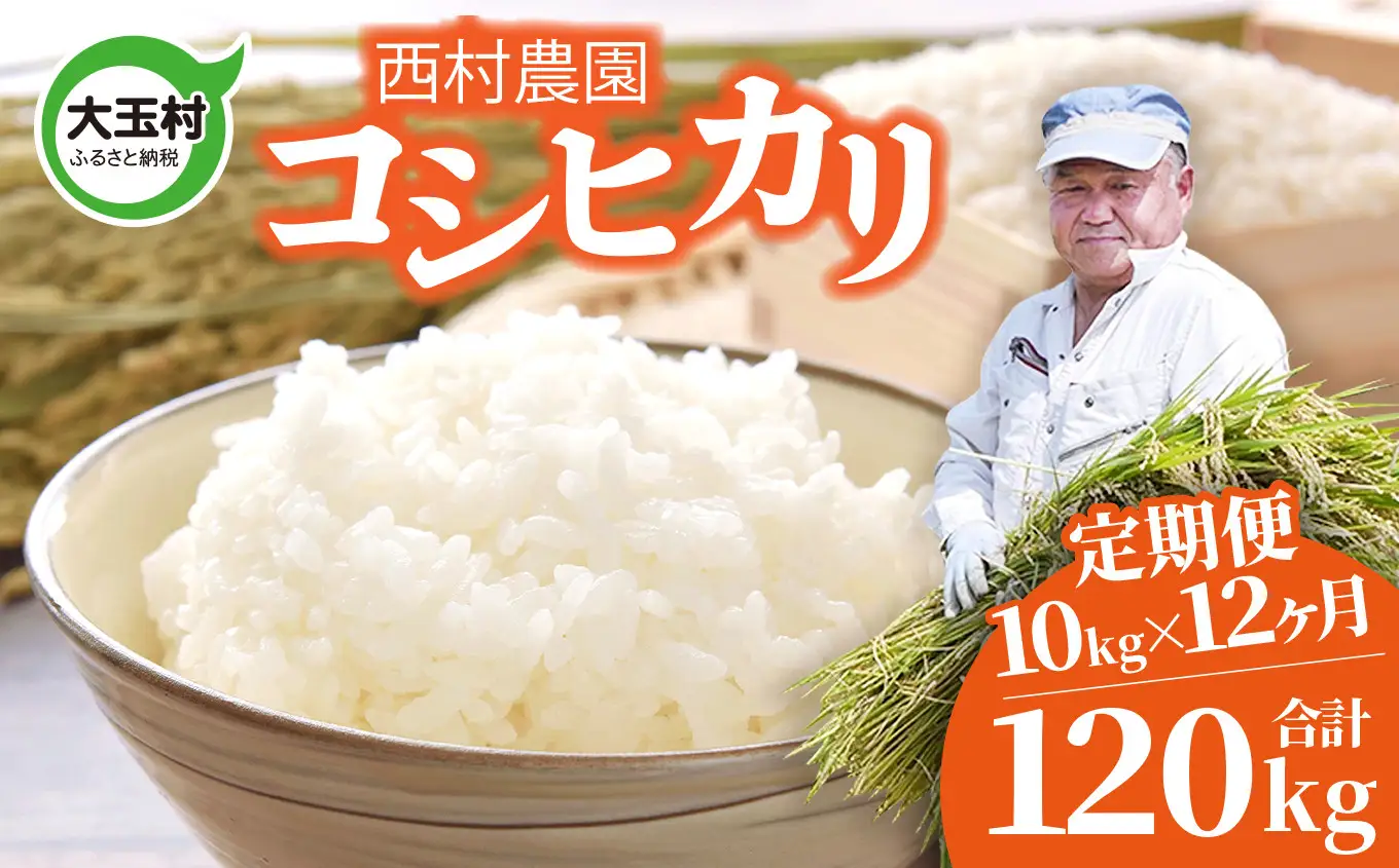 米 定期便 コシヒカリ 120kg ( 10kg × 12ヶ月 ) 《 令和8年 》 福島県 大玉村 西村農園 こしひかり 精米 定期 12回