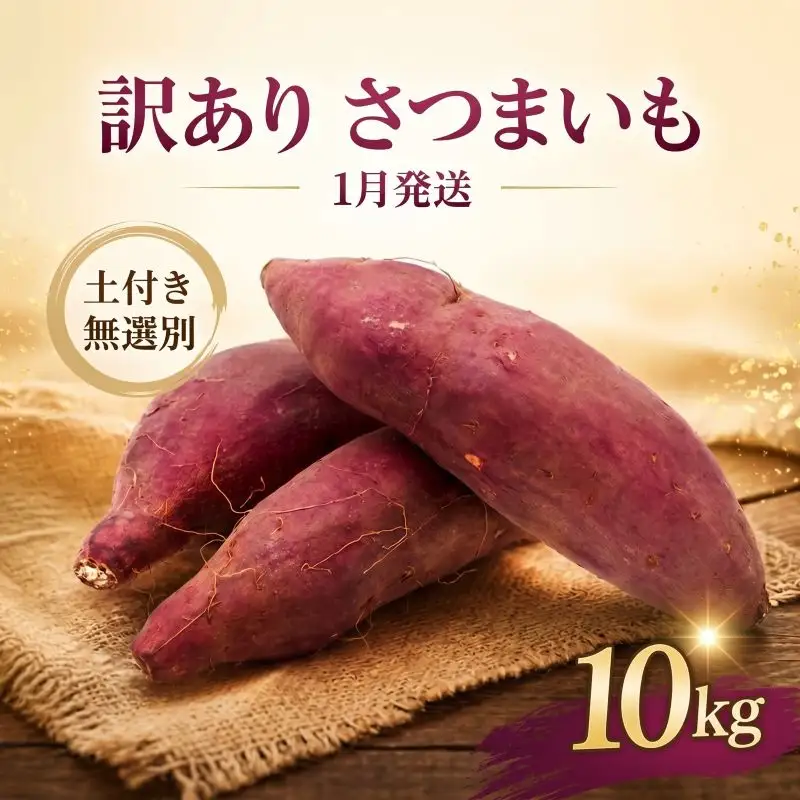 さつまいも 生芋 紅はるか 10kg 訳あり サツマイモ 【1月発送】 | 茨城
