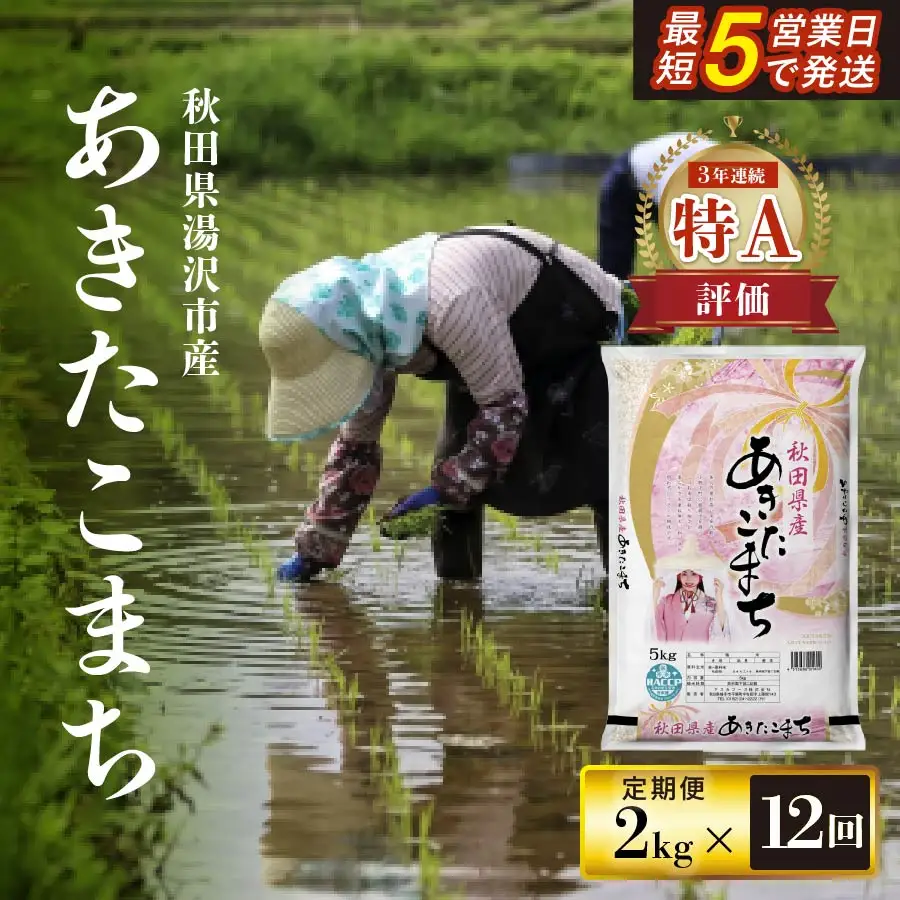 【定期便12ヶ月】令和8年産米 あきたこまち白米 2kg あきたこまち [I5-172012]
