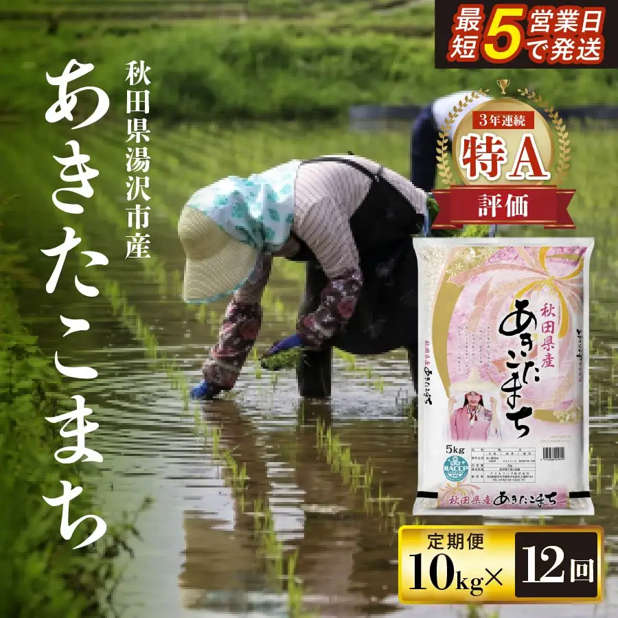 【定期便12ヶ月】令和8年産米 あきたこまち白米 10kg あきたこまち [F172036]