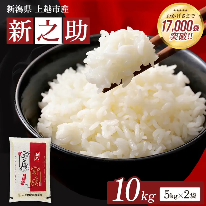 【11月上旬配送】令和8年産 新之助 無洗米 上越産 10kg 精米 新之助