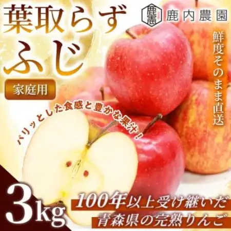 【甘くてみずみずしい】 りんご 「葉取らずふじ」 家庭用 約3kg (約9～12個入り) 青森市 産【配送不可地域：離島】【1785147】