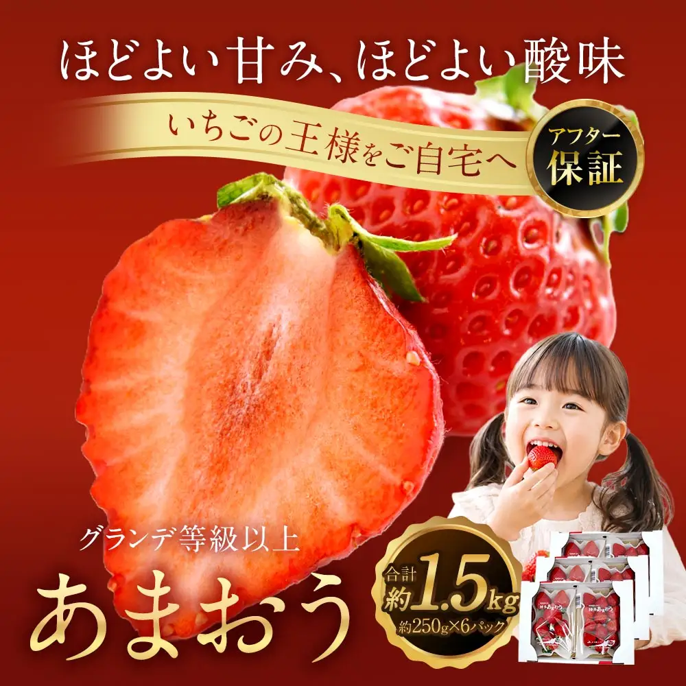 あまおう （ グランデ等級以上 ） 約250g × 6P 計約1,500 ～ 1,620g いちご イチゴ 苺 果物 くだもの フルーツ 果実 果肉 いちごの王様 国産 福岡県産 冷蔵 【 2027年2月上旬～4月下旬発送予定 】