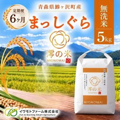 《 6ヶ月定期便 》 令和8年産 まっしぐら 無洗米 5kg （5㎏×1） 青森県産 イワモトファーム まっしぐら