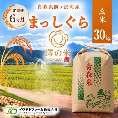 《 6ヶ月定期便 》令和8年産 まっしぐら 玄米 30㎏ （30㎏×1） 青森県産 イワモトファーム まっしぐら