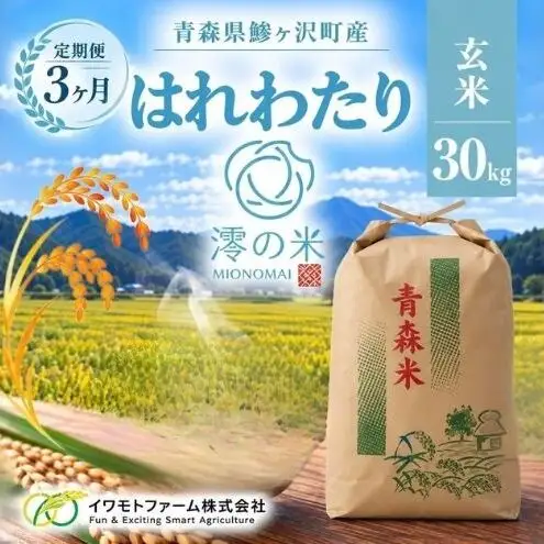 《 3ヶ月定期便 》令和8年産 はれわたり 玄米 30kg （30㎏×1） 青森県産 イワモトファーム はれわたり