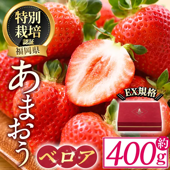 ＜予約受付中！2026年11月より順次発送予定＞ あまおうベロア EX等級 (約400g) 苺 いちご イチゴ フルーツ 果物 冷蔵 特別栽培 福岡県 国産 贈答 ＜離島配送不可＞【ksg1974】【うるう農園】