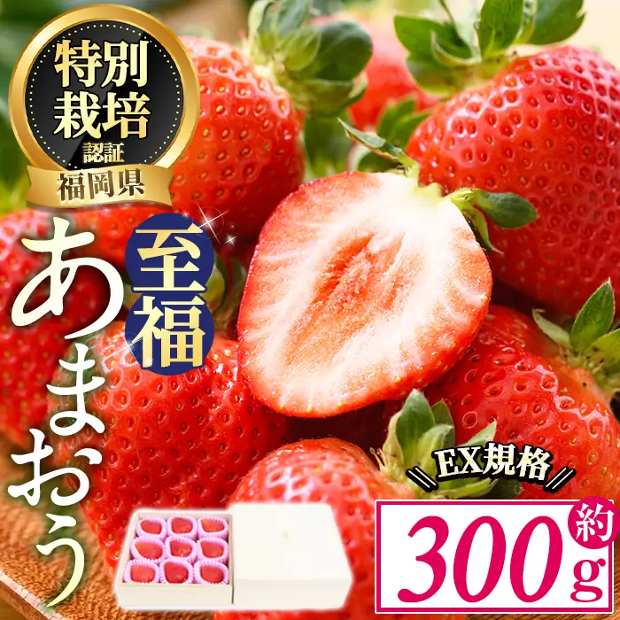 ＜予約受付中！2026年11月より順次発送予定＞あまおう 至福 EX等級赤 (約300g) 苺 いちご イチゴ 国産 福岡県 果物 フルーツ 冷蔵 特別栽培 贈答 ＜離島配送不可＞【ksg1975】【うるう農園】