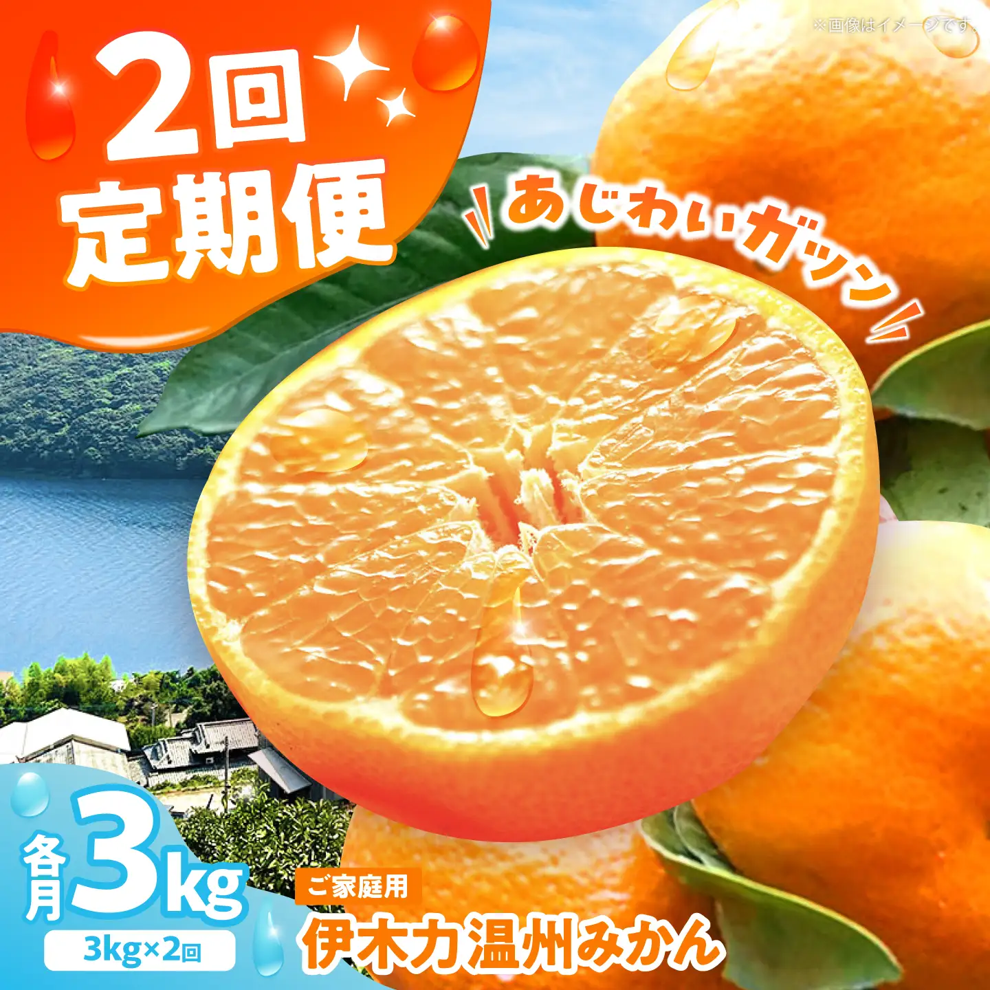 伊木力温州みかん3kg ご 箱入り 伊木力