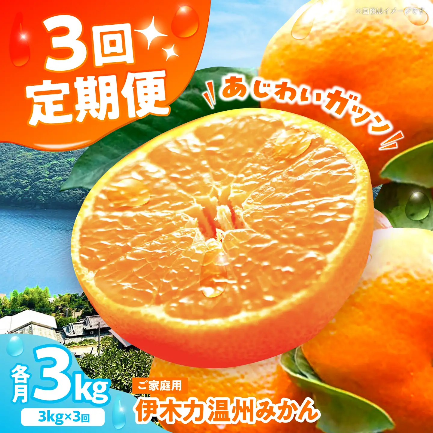 伊木力温州みかん3kg ご 箱入り 伊木力