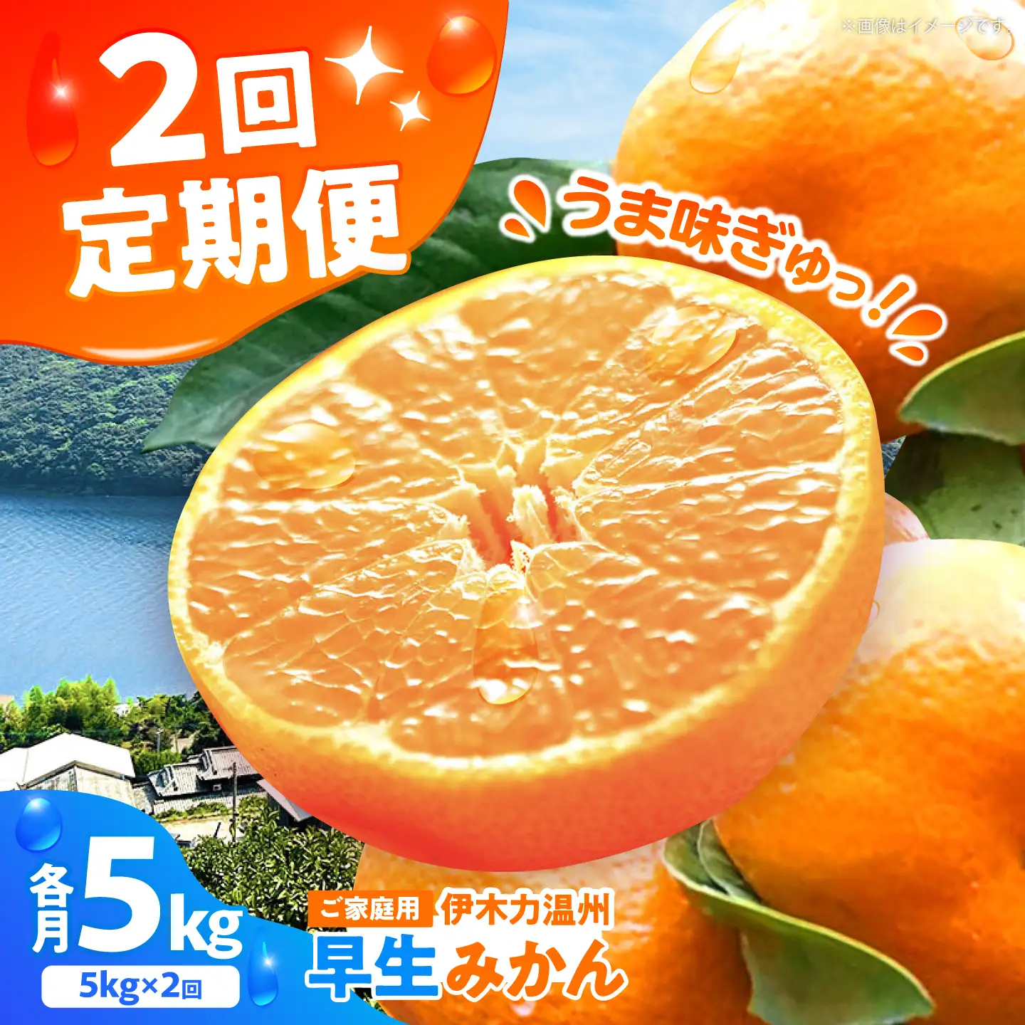 伊木力温州みかん5kg ご 箱入り 伊木力