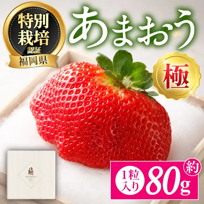 ＜予約受付中！2026年11月より順次発送予定＞あまおう「極」 (1個・約80g) 苺 いちご イチゴ 国産 福岡県 果物 フルーツ 冷蔵 特別栽培 贈答 ＜離島配送不可＞【ksg1978】【うるう農園】