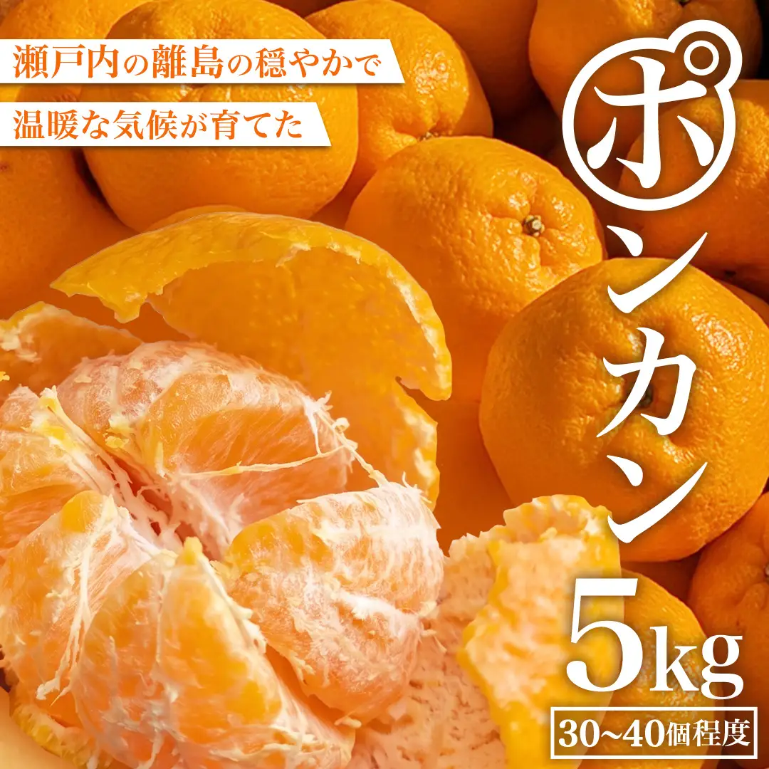 大崎上島産 ポンカン 5kg ( 30～40個程度 ) ぽんかん 柑橘 みかん フルーツ 柑橘 蜜柑 お取り寄せ