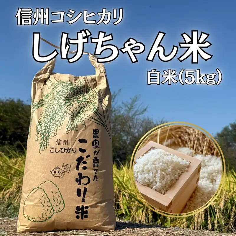 【令和8年産・白米5kg】長野県産コシヒカリ 「しげちゃん米」（北海道・沖縄県・離島は配送不可） こしひかり 精米 新米 2026年産 産地直送 信州 佐久市 旬彩