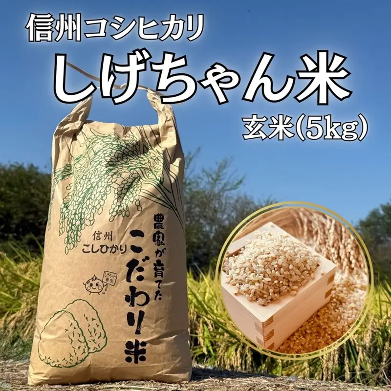 【令和8年産・玄米5kg】長野県産コシヒカリ 「しげちゃん米」（北海道・沖縄県・離島は配送不可） こしひかり 新米　2026年産 産地直送 信州 佐久市 旬彩