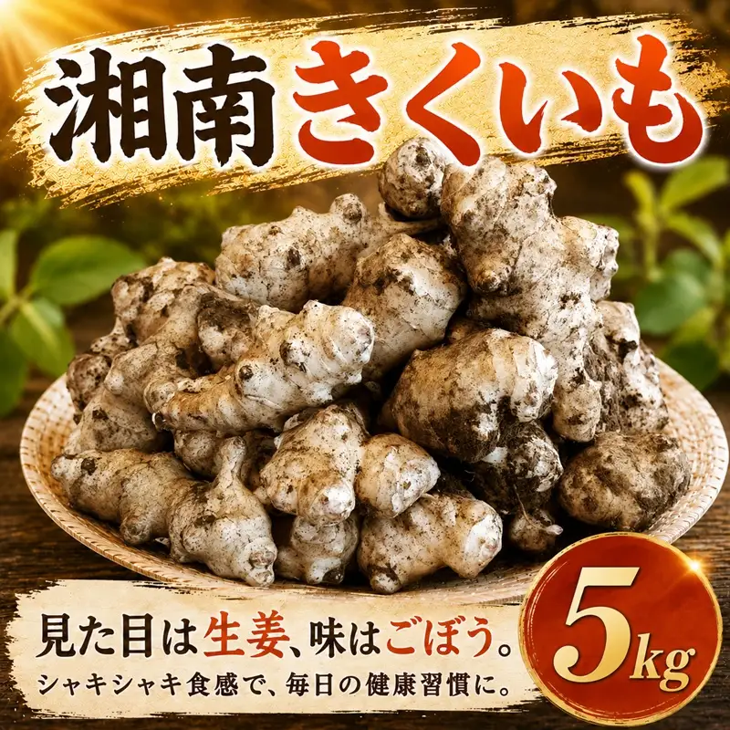菊芋 5kg 生 11月発送 【湘南きくいも】