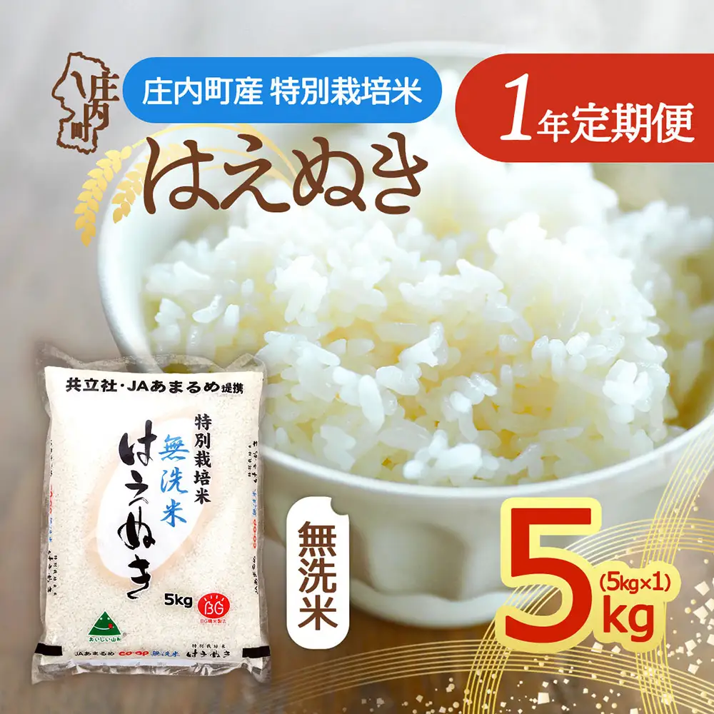 【定期便】＜令和8年産/9年産＞はえぬき 無洗米 5kg×1年間 毎月お届け 特別栽培米 山形県庄内町産 庄内米 ブランド米 米 コシヒカリの原点、亀の尾発祥の地 お米の定期便 甘み 粘り バランスの良い ごはん 家庭用【11月中旬発送】