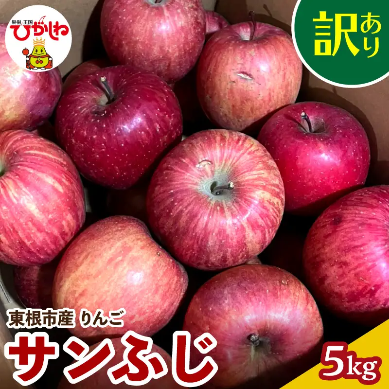 2026年産 りんご サンふじ 訳あり 5kg 茶箱 りんご