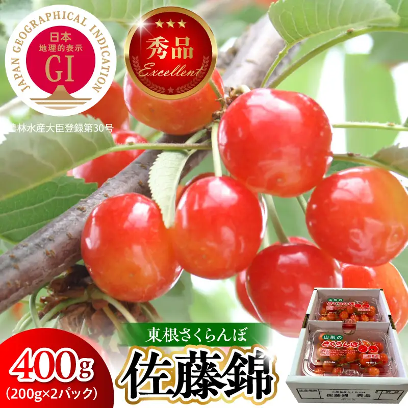 2027年産 GI 東根さくらんぼ 佐藤錦 400g さくらんぼ 
