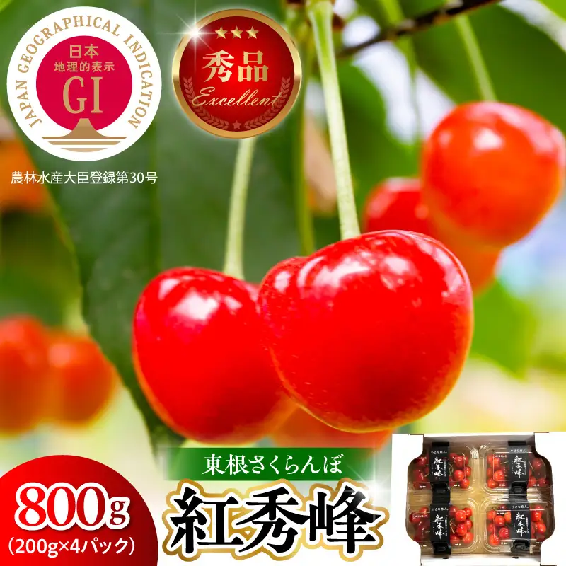2027年産 GI 東根 さくらんぼ 紅秀峰 800g さくらんぼ