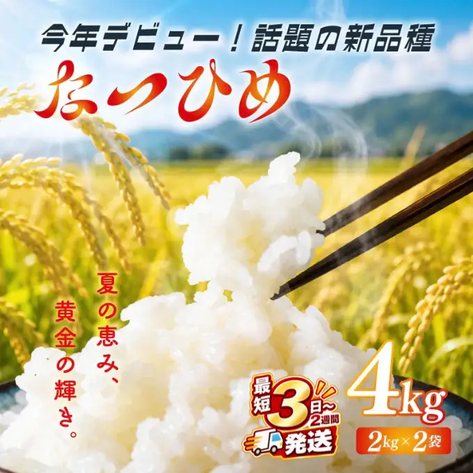 最短3日発送 新米 なつひめ 4kg 新米 新品種 令和8年産 米 白米 こめ 大粒 ごはん おにぎり お弁当 農家直送 産地直送 ふるさと納税 川瀬農園 新潟 新潟県 新発田市 kwsNH001_F