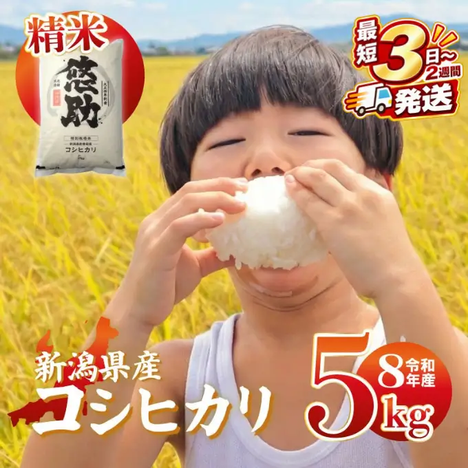 最短3日発送 新米 コシヒカリ 新潟 米 5kg 特別栽培米 新潟県 コシヒカリ | 新潟産コシヒカリ 新潟県産コシヒカリ 新潟県産こしひかり お米 白米 精米 こしひかり 新潟産こしひかり 新潟こしひかり 新潟コシヒカリ 5キロ 5キログラム おこめ コメ オコメ ギフト 贈答 贈り物 にいがた ニイガタケン 新潟 新発田 kwsKH002_01_F