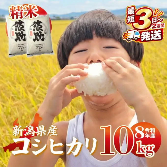 最短3日発送 新米 コシヒカリ 10kg 新潟県産 特別栽培米 単品 コンテスト 入賞 新潟 ふるさと納税 米 お米 特別栽培 白米 米 お米 こめ コメ ライス ご飯 ごはん 美味しい 贈り物 国産 新潟県 新発田市 お取り寄せ 産地直送 kwsKH003_01_F