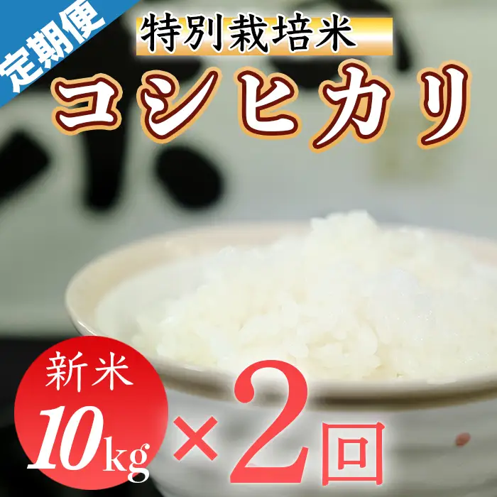 令和8年産（精白米）特別栽培米こしひかり10kg×2袋